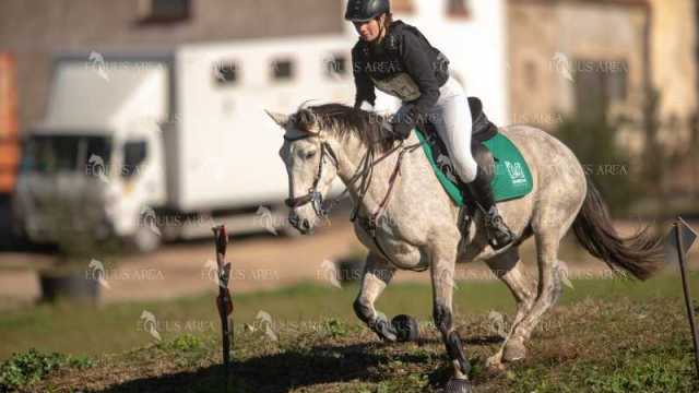 TREC02-06082024-278