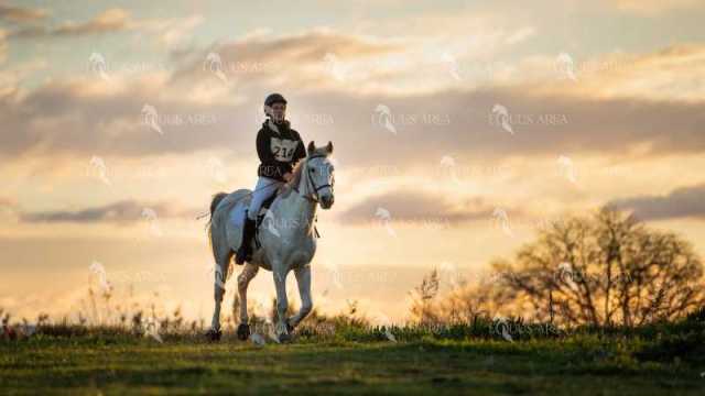 TREC02-06082024-28