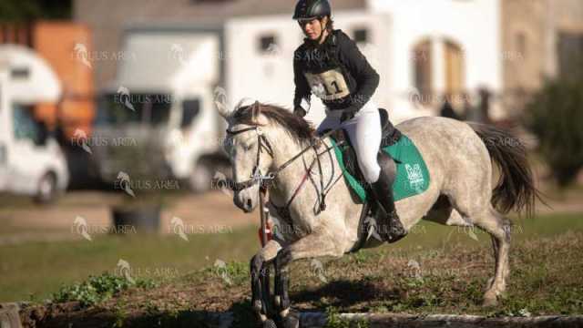 TREC02-06082024-280