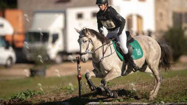TREC02-06082024-281