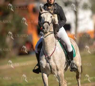 TREC02-06082024-282