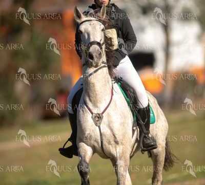 TREC02-06082024-283