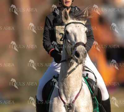 TREC02-06082024-284