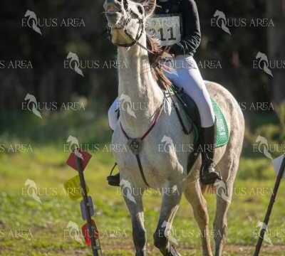 TREC02-06082024-287