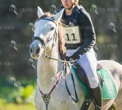 TREC02-06082024-288