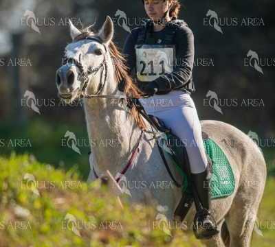 TREC02-06082024-289