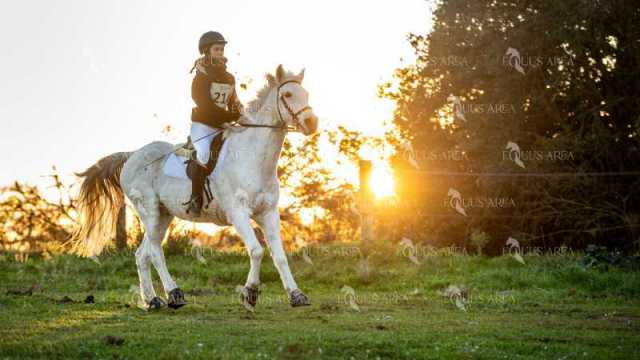 TREC02-06082024-29