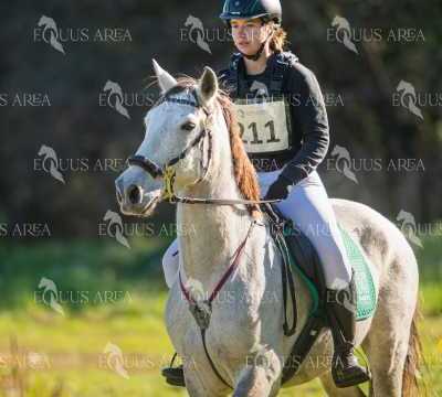 TREC02-06082024-290