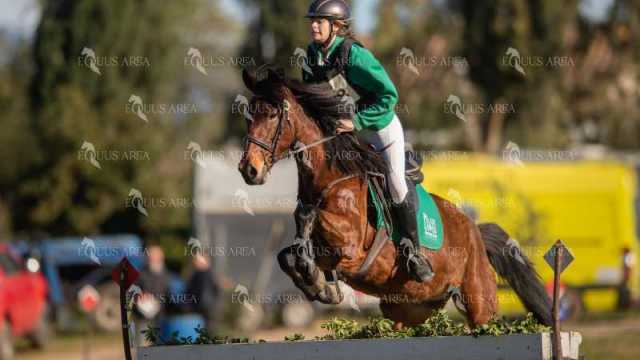TREC02-06082024-291