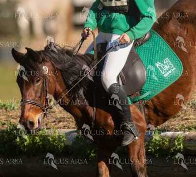 TREC02-06082024-292