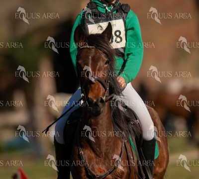 TREC02-06082024-294