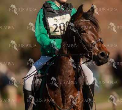 TREC02-06082024-295