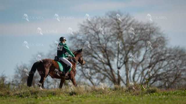 TREC02-06082024-296