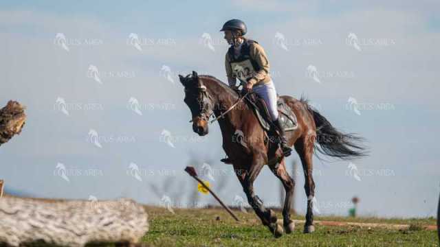 TREC02-06082024-297