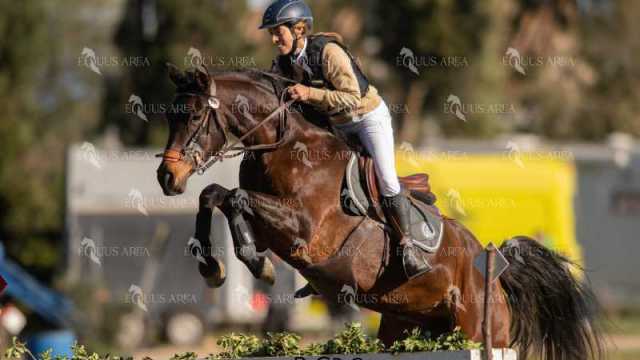 TREC02-06082024-298