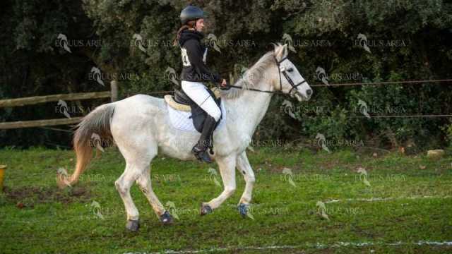 TREC02-06082024-30