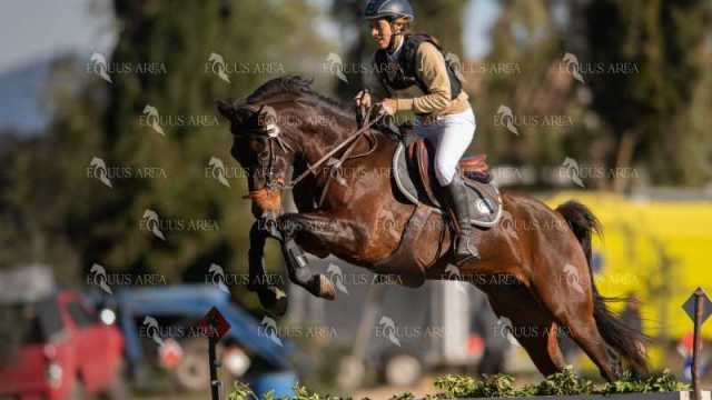 TREC02-06082024-300