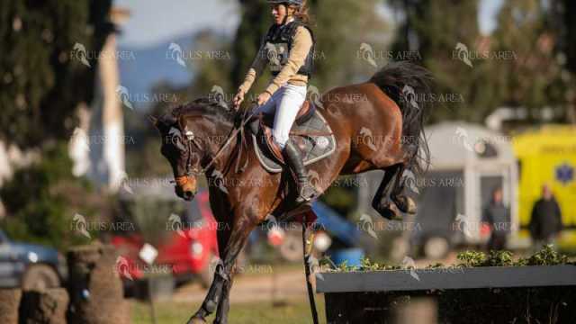 TREC02-06082024-302