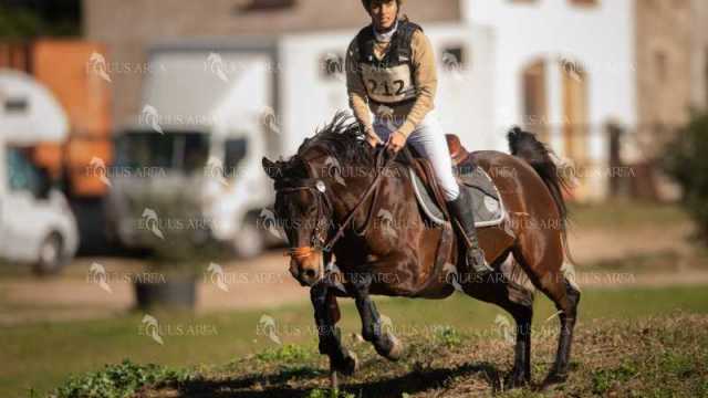 TREC02-06082024-303