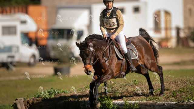 TREC02-06082024-304