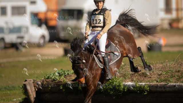 TREC02-06082024-306