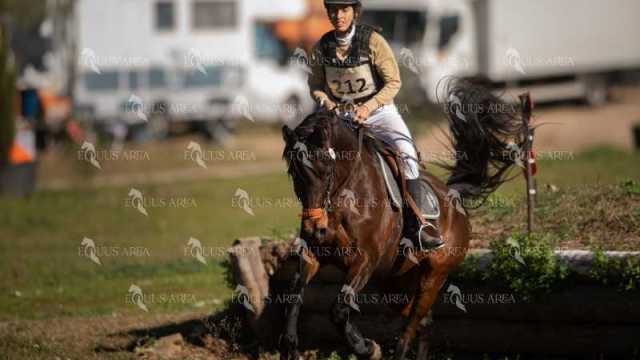 TREC02-06082024-307