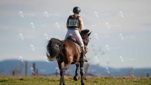 TREC02-06082024-309