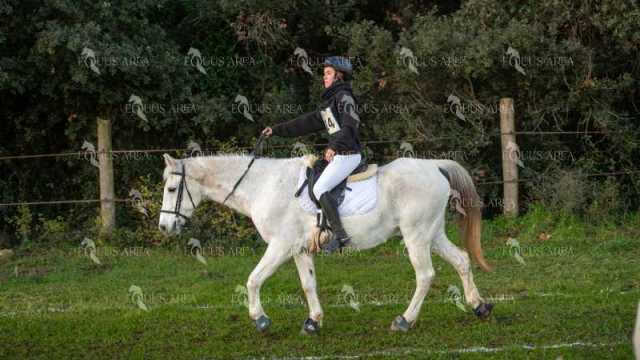 TREC02-06082024-31