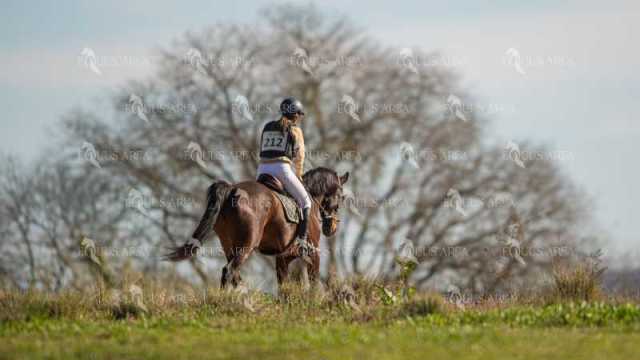 TREC02-06082024-310