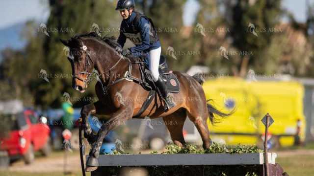 TREC02-06082024-312