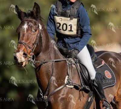 TREC02-06082024-314