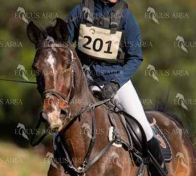 TREC02-06082024-315