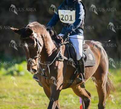 TREC02-06082024-317