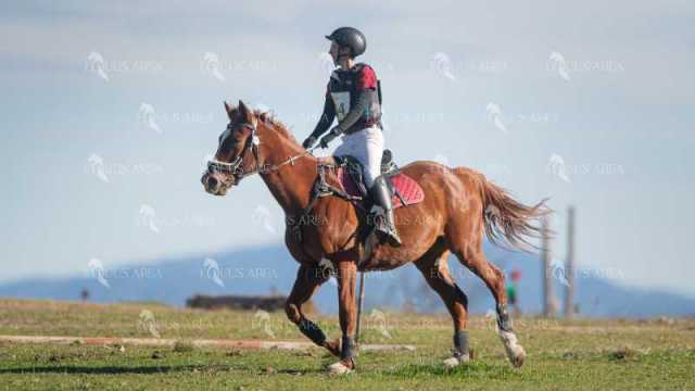 TREC02-06082024-318