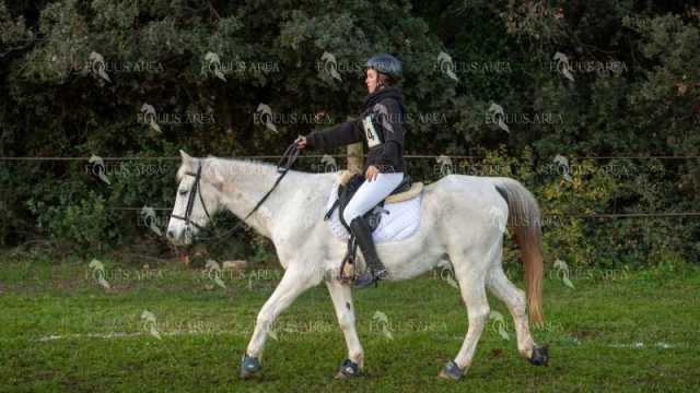 TREC02-06082024-32