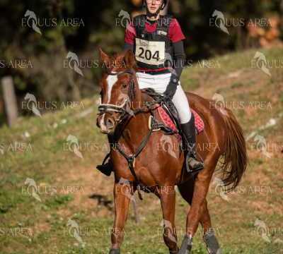 TREC02-06082024-321