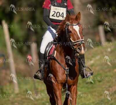 TREC02-06082024-322