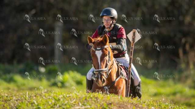 TREC02-06082024-323