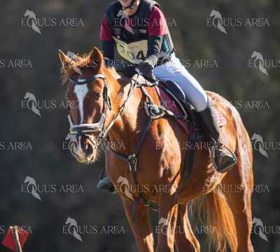 TREC02-06082024-324