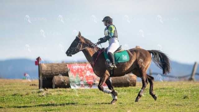 TREC02-06082024-325