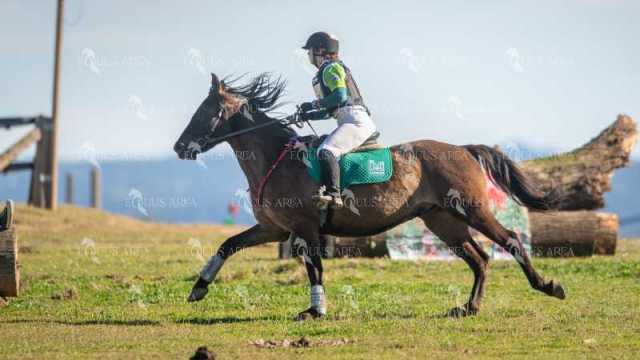 TREC02-06082024-326