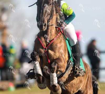 TREC02-06082024-327