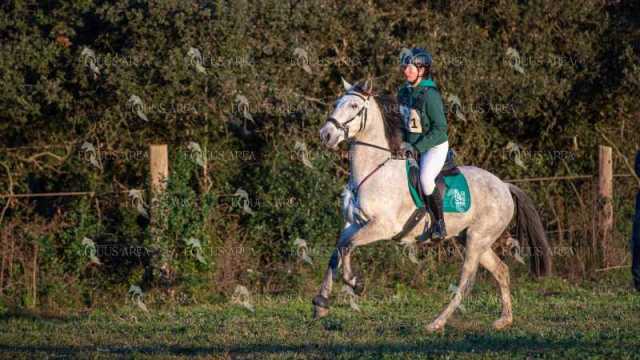 TREC02-06082024-33