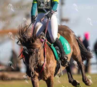 TREC02-06082024-330