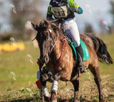 TREC02-06082024-332