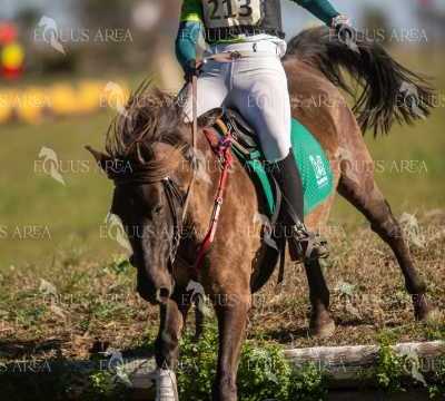 TREC02-06082024-333
