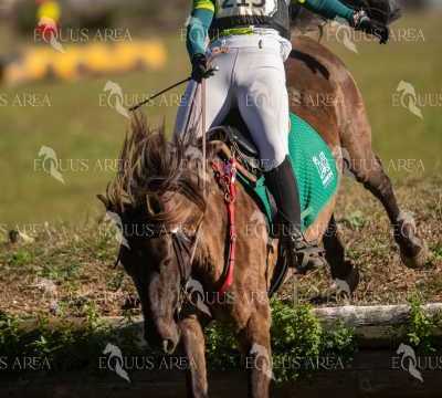 TREC02-06082024-334