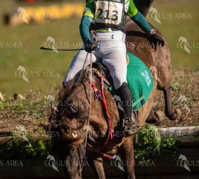 TREC02-06082024-335