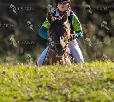 TREC02-06082024-336