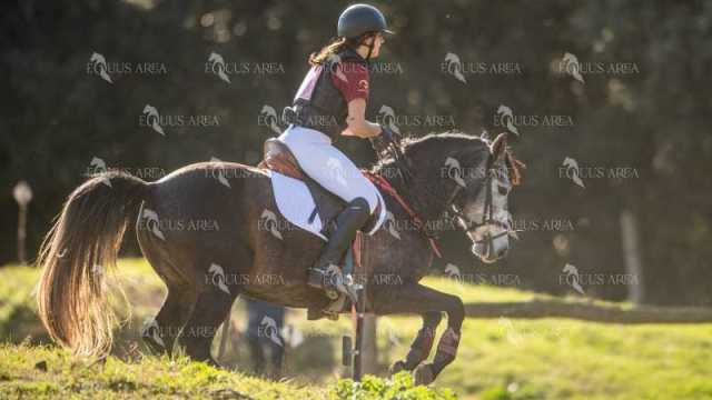 TREC02-06082024-337